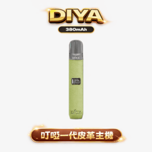 DIYA 一代皮革主機